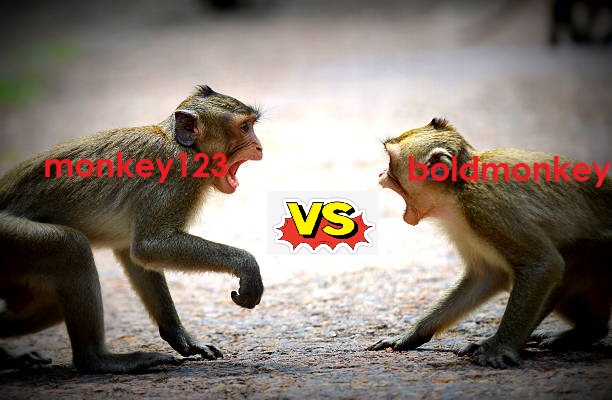 monkeyfight.jpg