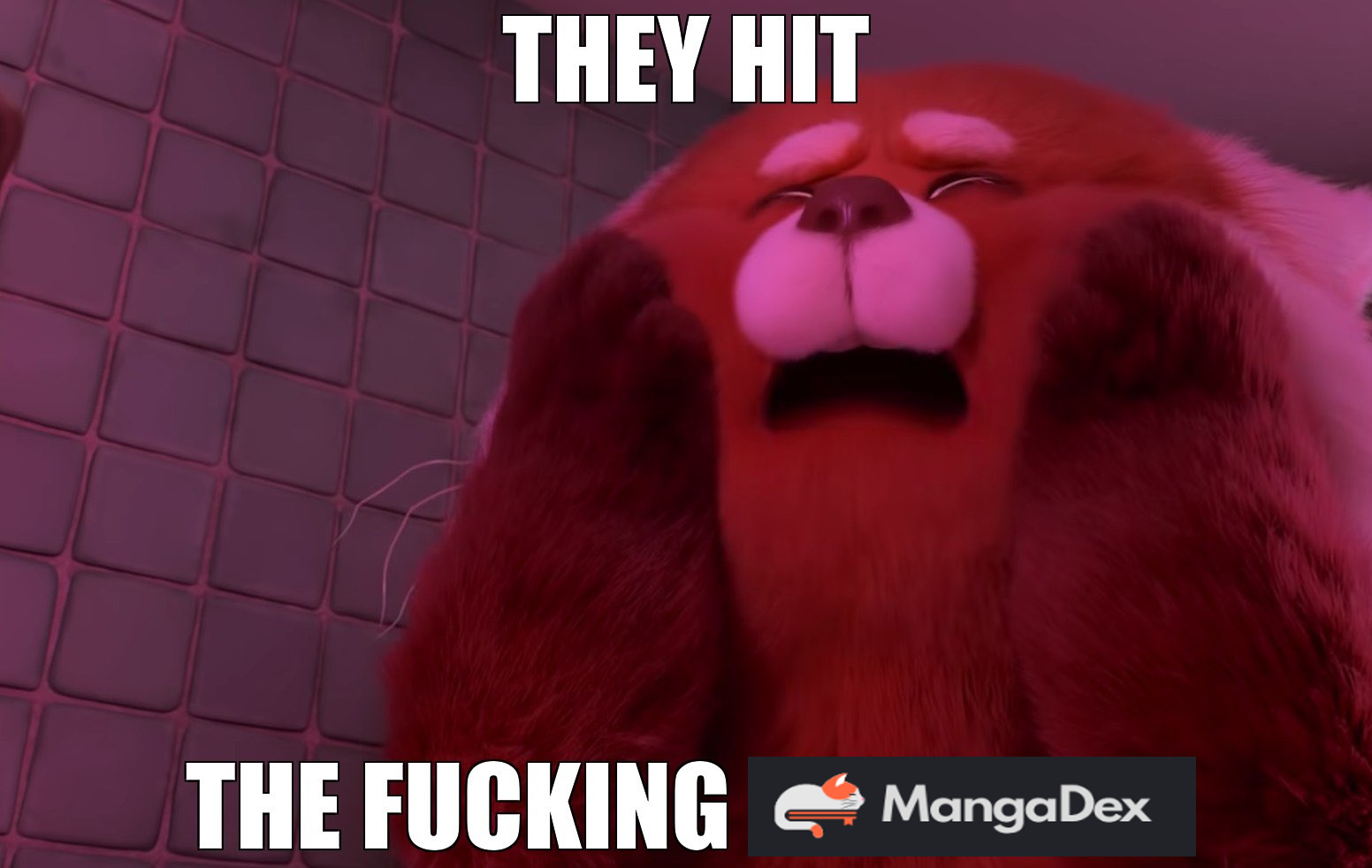 YpNq9sZ.png