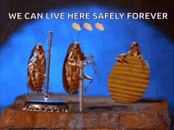 joe-s-apartment-insect-band-6ly8lwu66unn77ye.gif