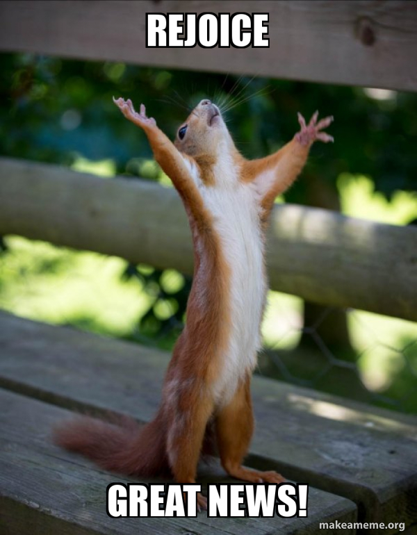 rejoice-great-news.jpg