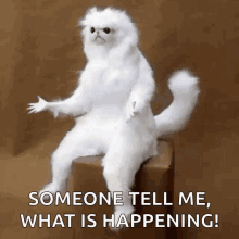 yxphb4.gif