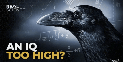 a1c.gif