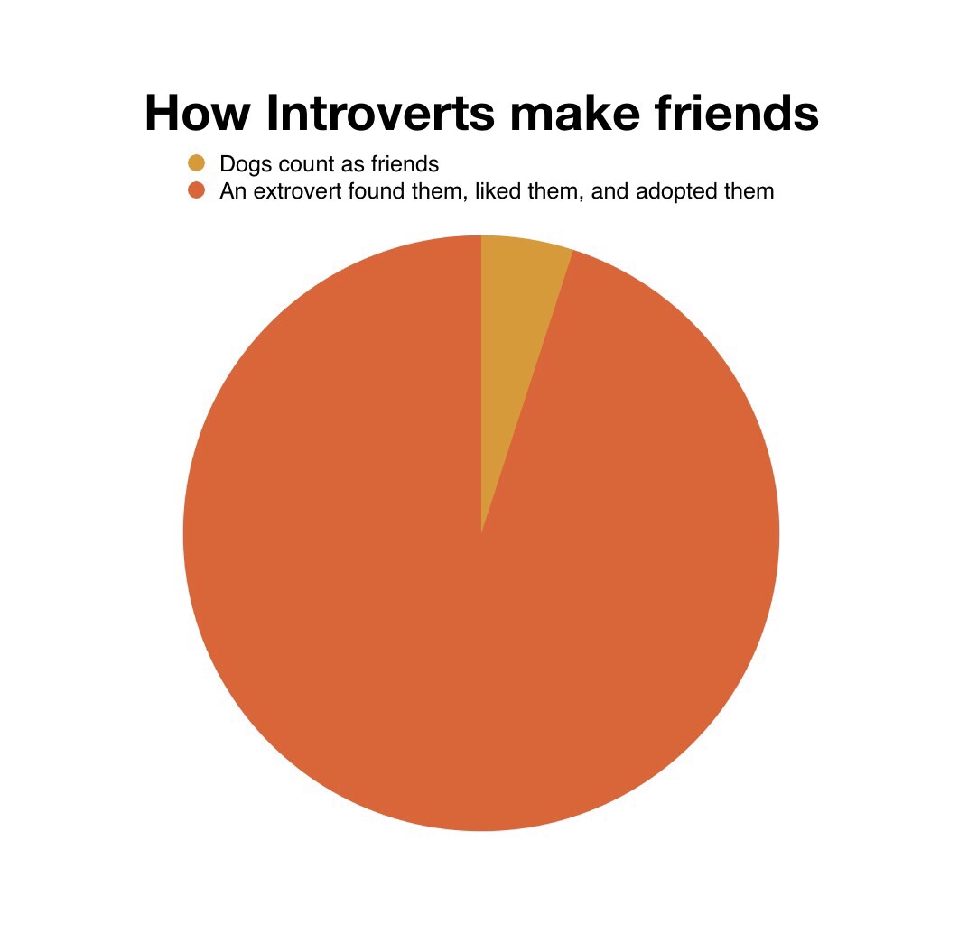 How-Introverts-Make-Friends.jpg