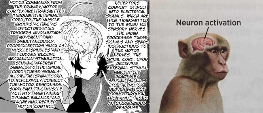 stMDDMq.jpeg