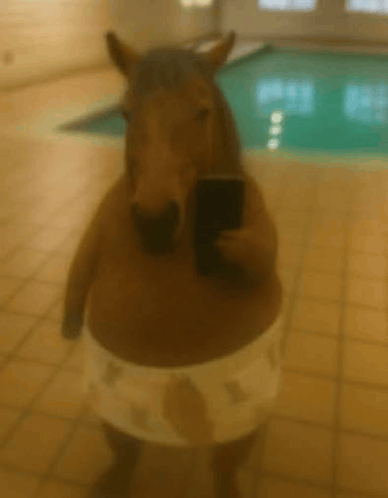 horse-selfie.gif