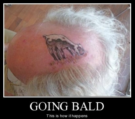 1467862520-Funny_bald_man_pictures_people.jpg