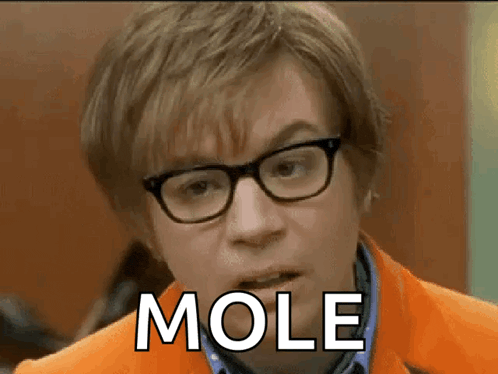 mole-stare.gif
