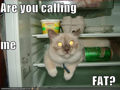 are-you-calling-me-fat