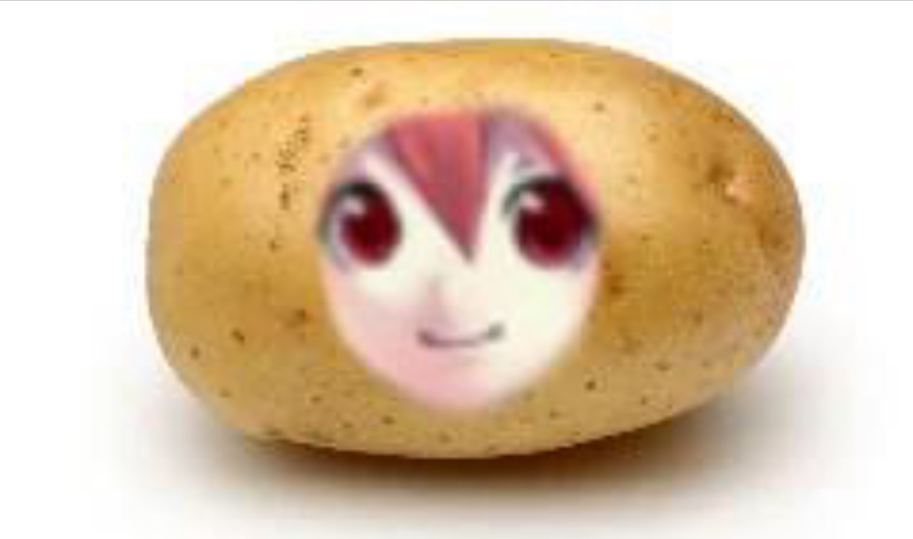 088y9s3pk3ze1.png