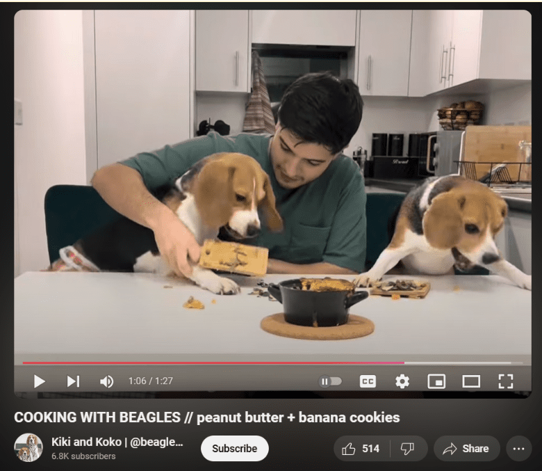 beagles-min.png