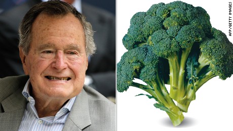 bushbroc.jpg