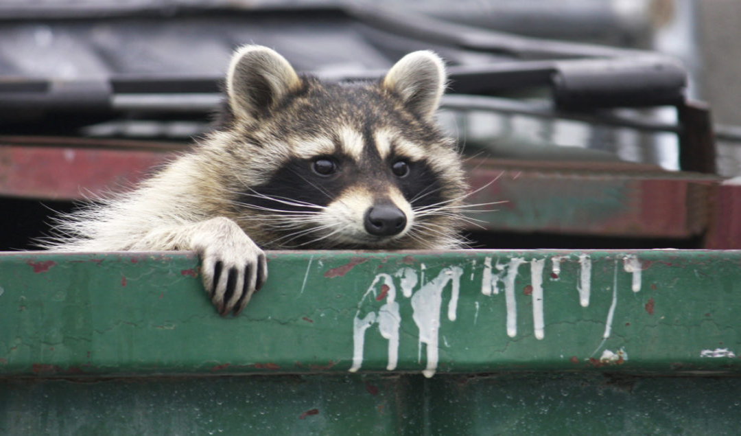 trash.png