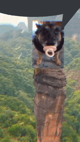 bubble-bubble-text.gif