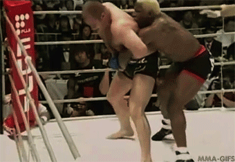 z2tav0.gif