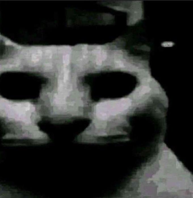 Uncanny Cat.