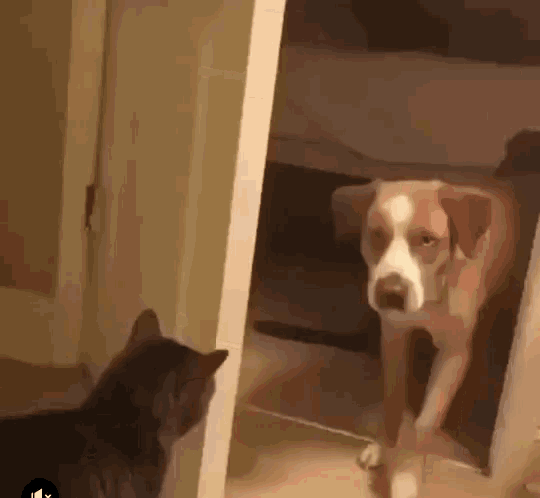 door-closed-go-out.gif