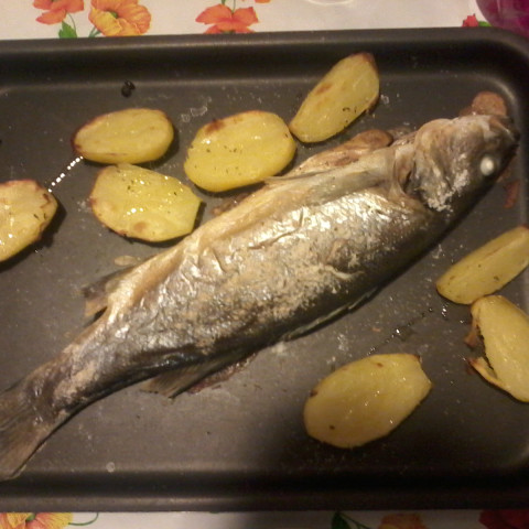 baked-sea-bass-with-slow-cooked-fen.jpg