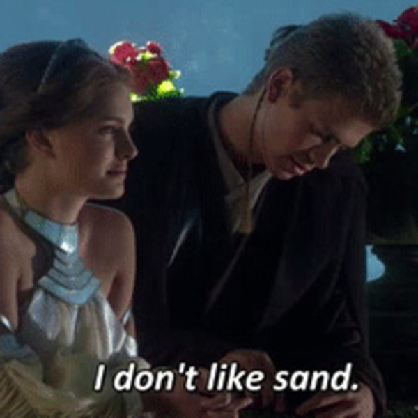 sandicon.jpg