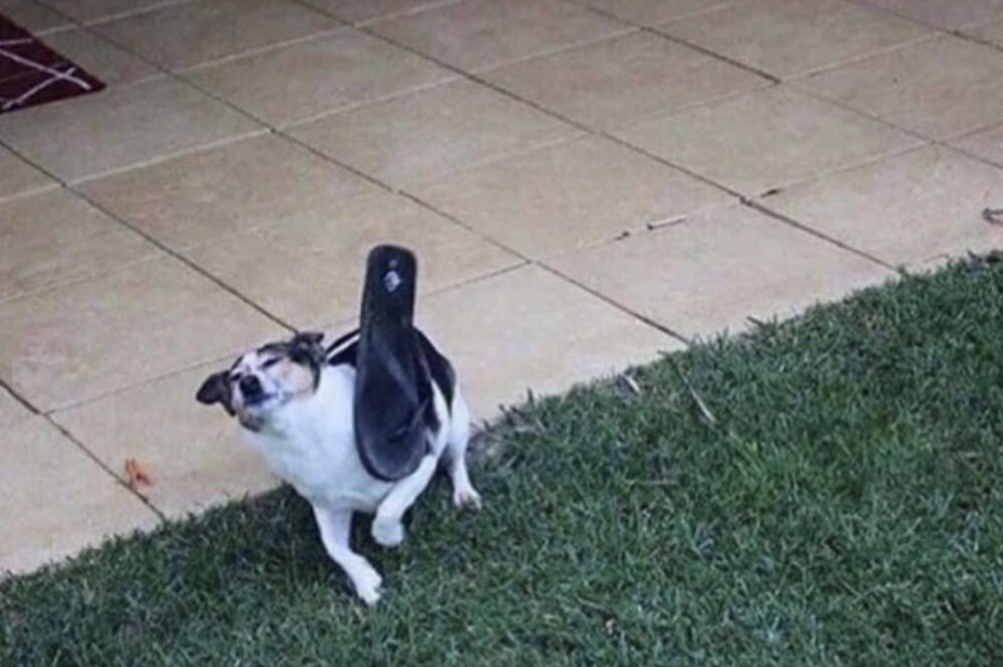 Y0MVnED.jpeg