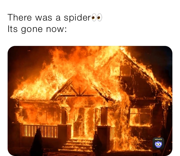 1614892369495.jpg