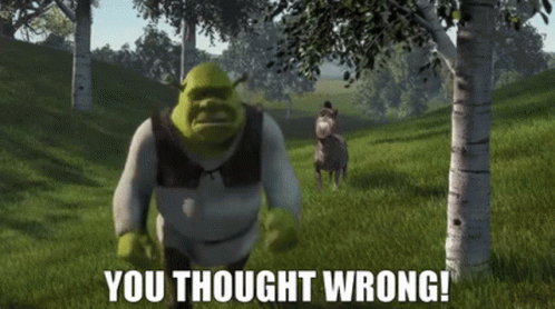 shrek-you-thought-wrong.gif