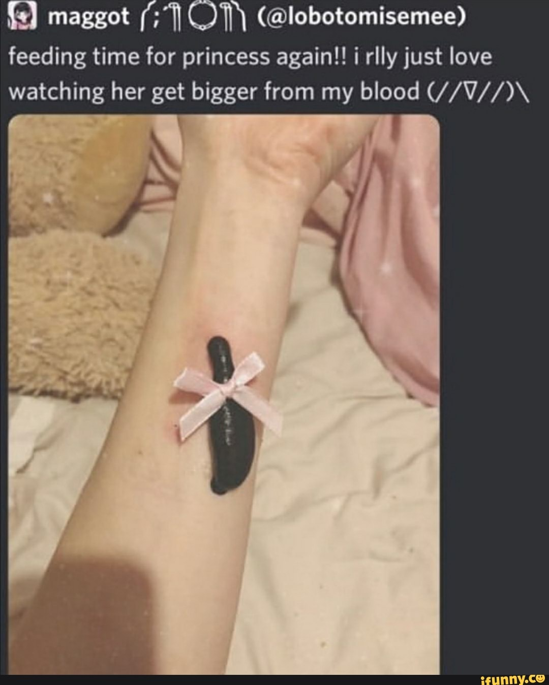 re2833t7lyv81.png