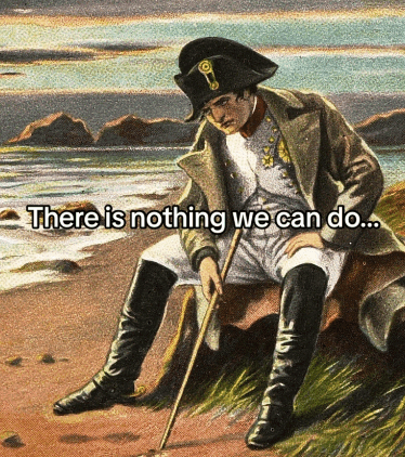 napoleon-there-is-nothing-we-can-do.gif