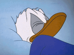 night-angry-sleeping-donald-duck-95h5v79b6xkq66jm.gif