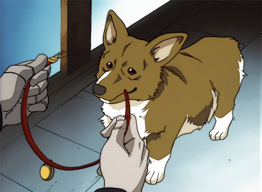 anime-dog-gif.gif