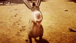 shrek-donkey-wink-smiling-15sn1i3q8yncevsq.gif