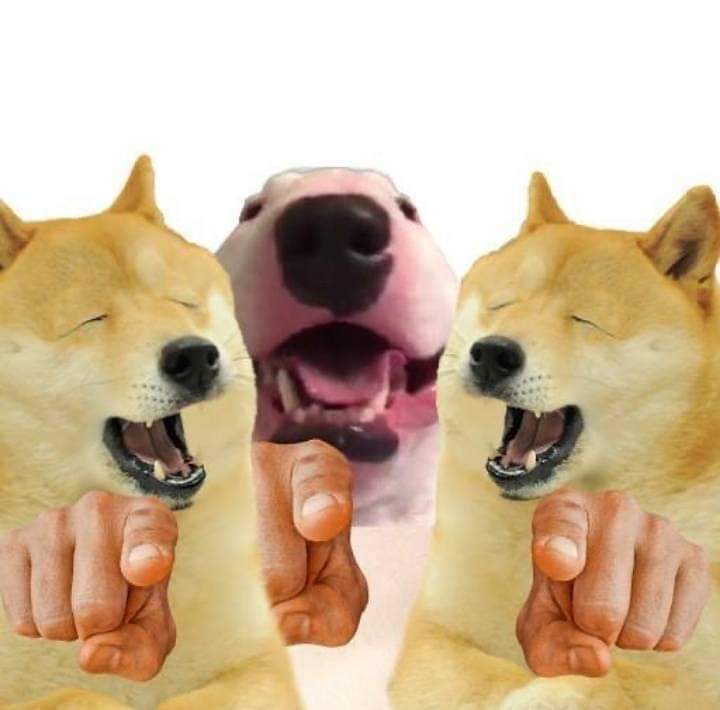 8nc7zv.jpg