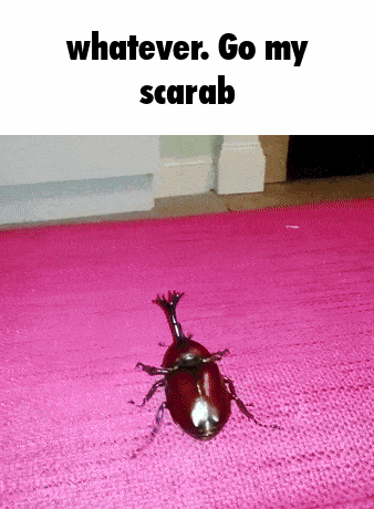 whatever-go-my-scarab-scarab.gif