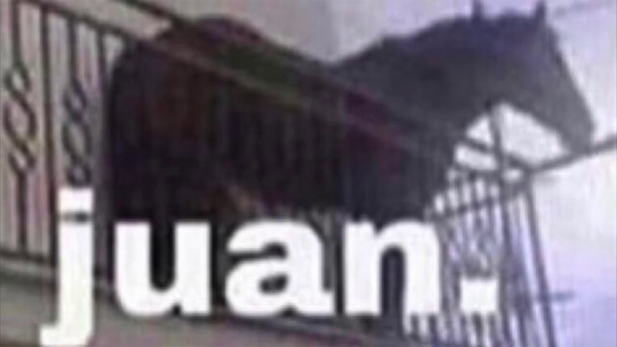 Juan / Horse On Balcony | Know Your Meme