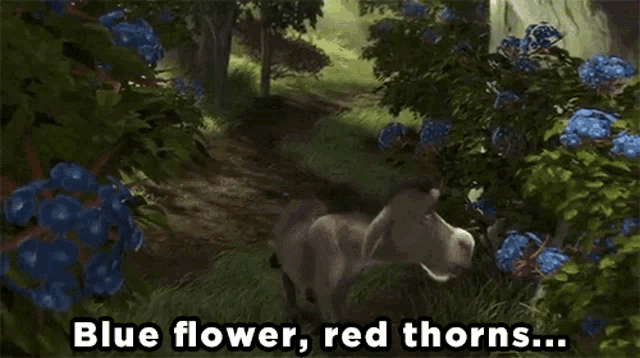 tenor.gif