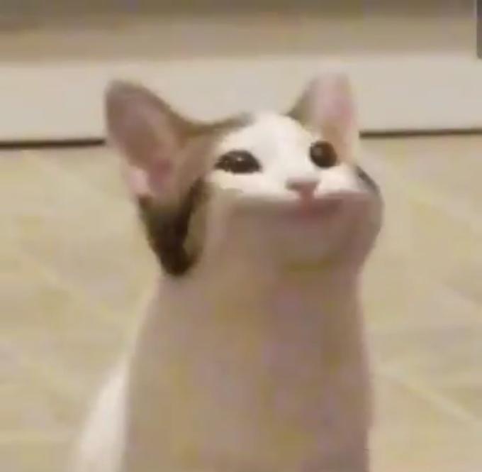 181.jpg