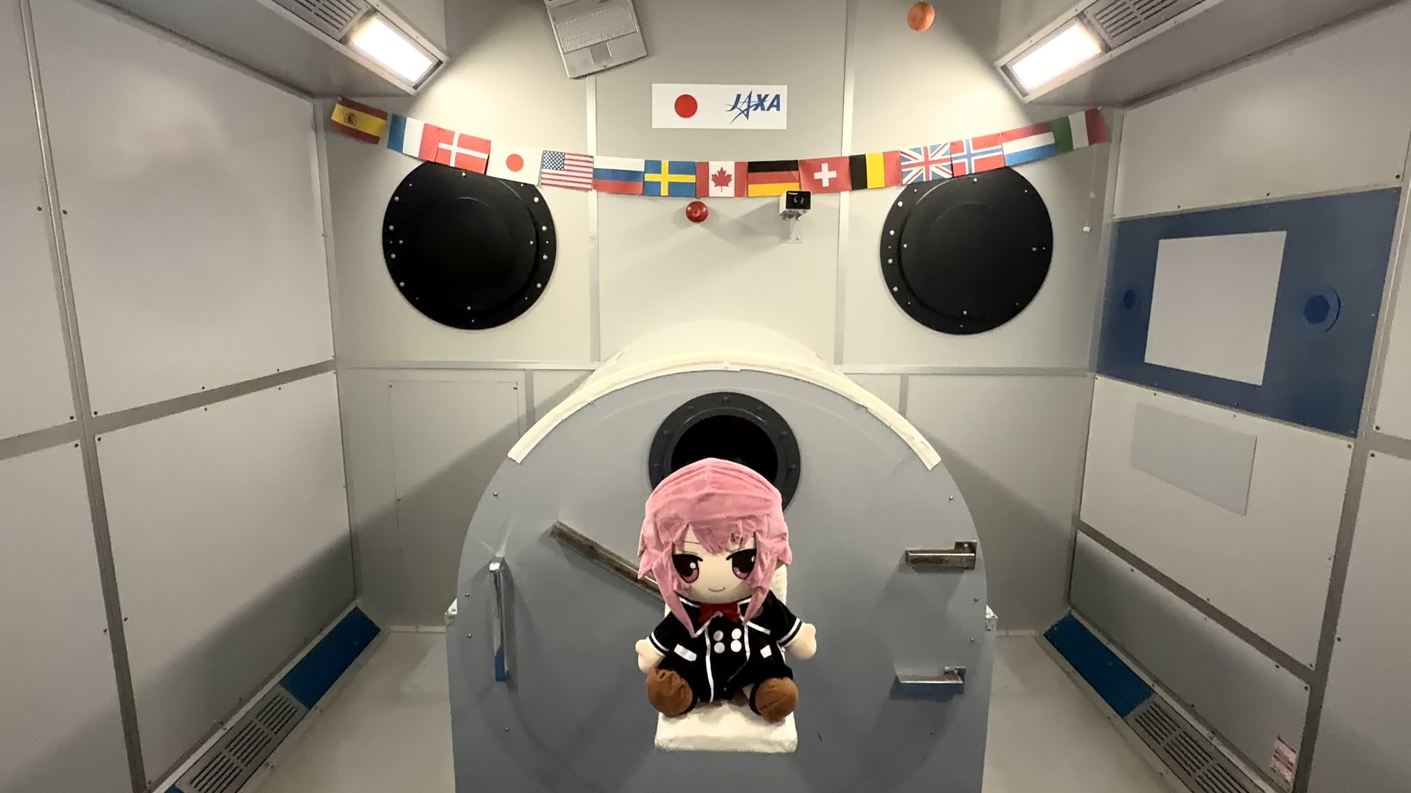 NPrLEoN.jpeg