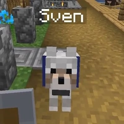 Sven-mc.png