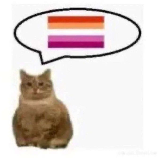 IMG3264.jpeg