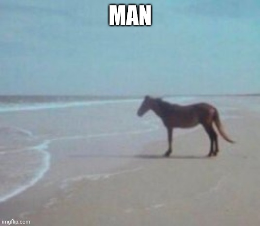9whoj7.jpg