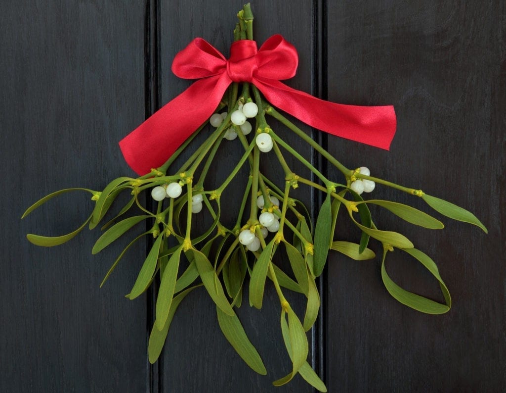 Mistletoe3-1024x794.jpg
