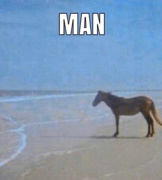 man-horse-meme-2.jpg