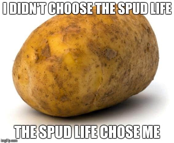 Spud-life-Potato-Meme.jpg