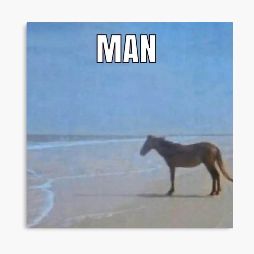 mp,840x830,matte,f8f8f8,t-pad,1000x1000,f8f8f8.jpg