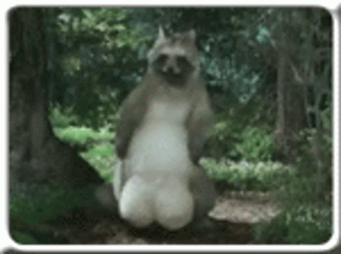 tolon.gif