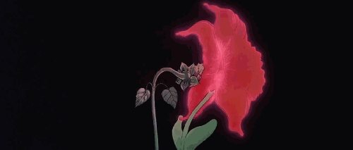 171742.gif