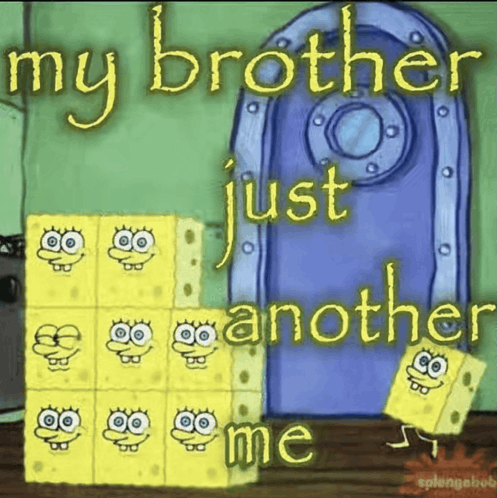 my-brother-my-brother-just-another-me.gif