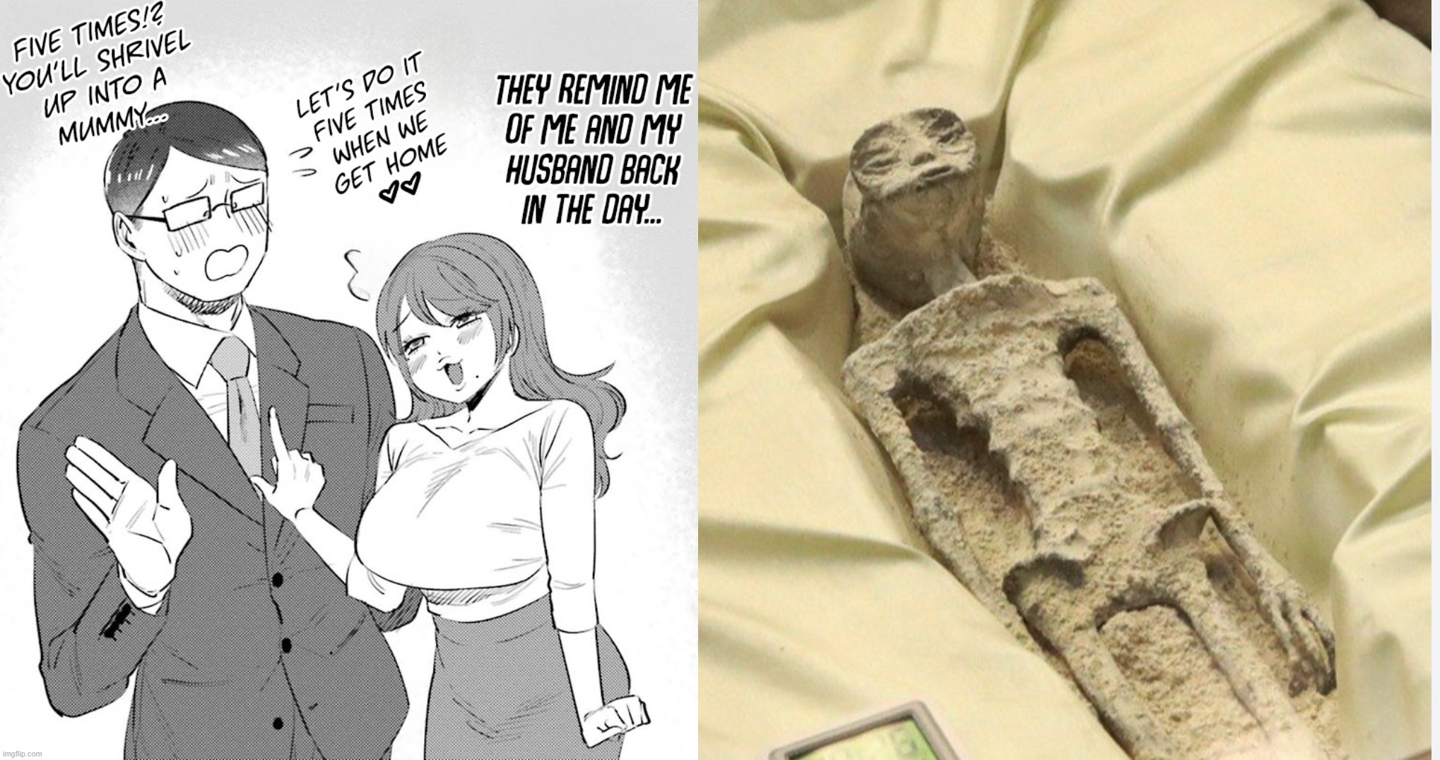 ay18js.jpg