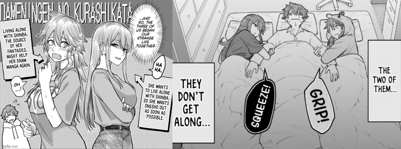 apjcf4.jpg
