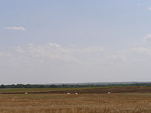 220px-Western_Kansas-High_Plains_Nicodemus.JPG