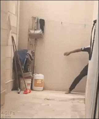 cheetah.gif